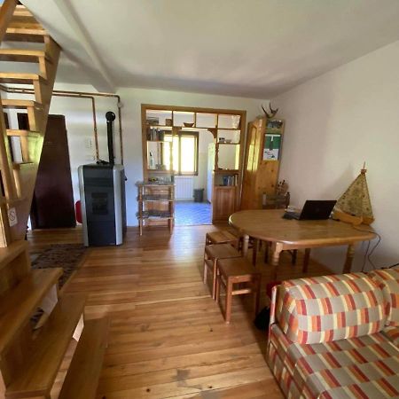 Mystic Forest Hostel Mitrovac Eksteriør bilde