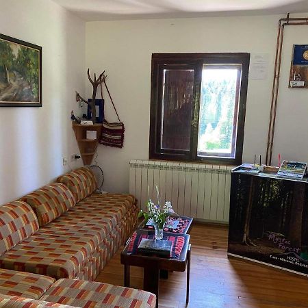 Mystic Forest Hostel Mitrovac Eksteriør bilde
