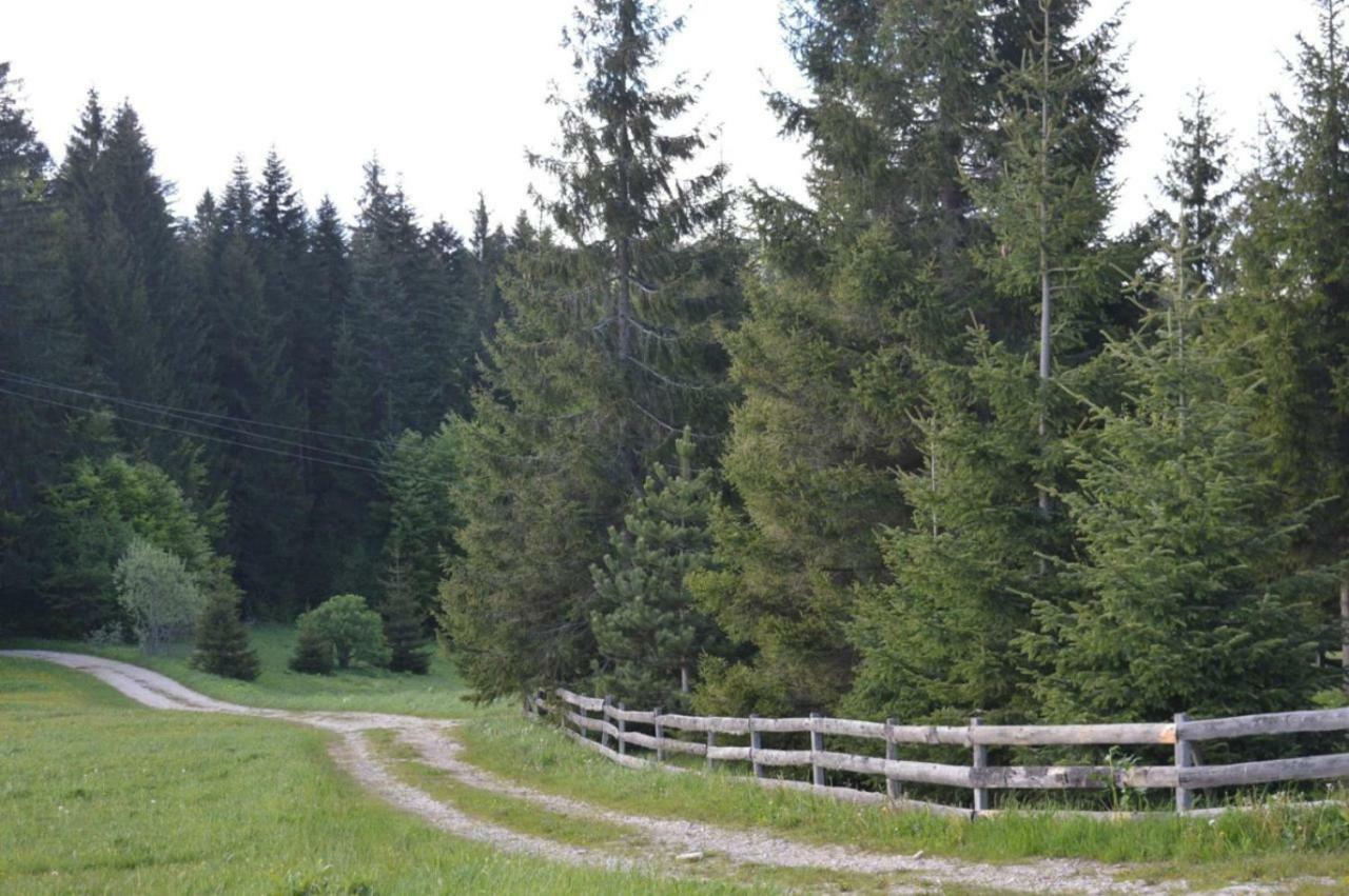 Mystic Forest Hostel Mitrovac Eksteriør bilde