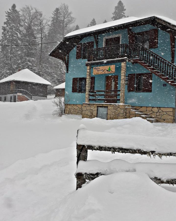 Mystic Forest Hostel Mitrovac Eksteriør bilde